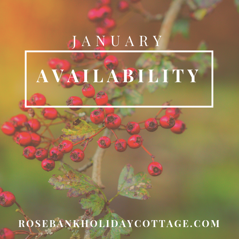 FODholidaycott's tweet photo. We have a couple of dates left in January - book your break now by visiting our website.

https://t.co/veZecVXtgT

#januarygetaway #january #holidaycottage #forestofdean https://t.co/AnitykIYoW