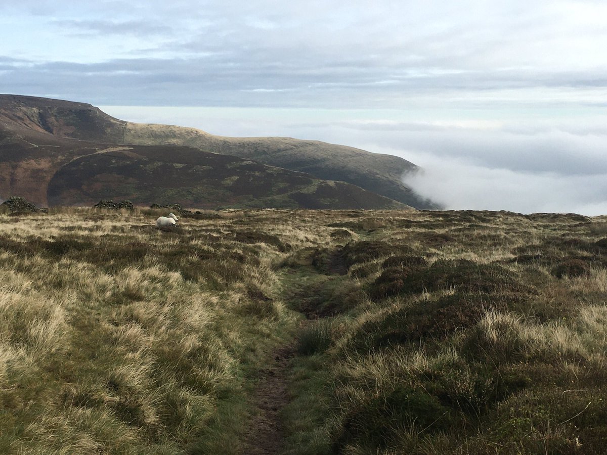 PeakNavigation's tweet photo. Some lovely light on Kinder Scout today before the mist came down. Good for navigation ahead of out next @nnas_uk Gold Navigator Award course next week. https://t.co/v21AjKz2yq