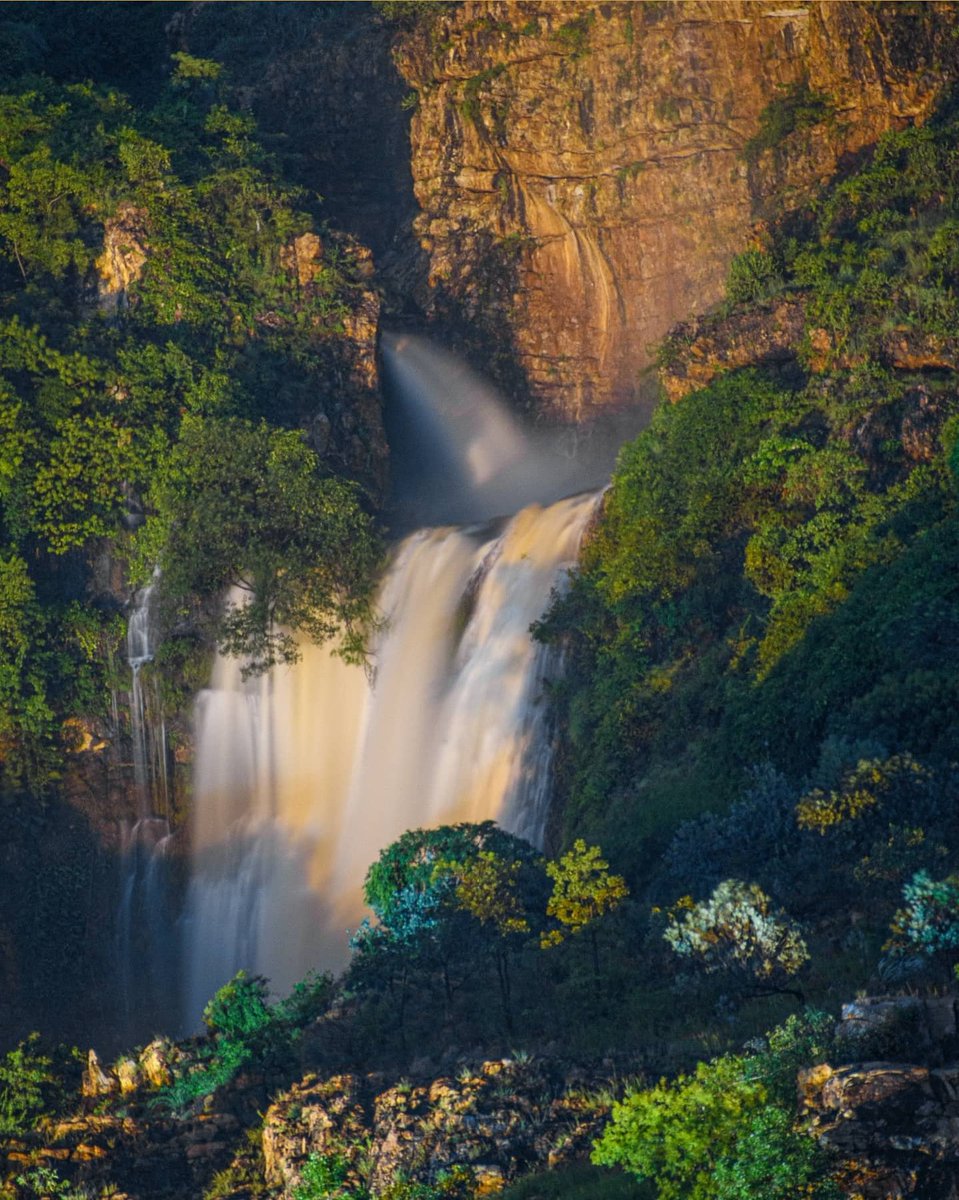 TirupatiYaaYo's tweet photo. MALWADI GUNDAM WATERFALLS Night Visuals by @visualographer_
#Tirupati #Tirumala #TirupatiYaaYo #WaterFalls #MalwadiGundam #MalwadiGundamWaterfalls #Nature #NightVisuals #visuals #Greenary https://t.co/8CV40DAIi0