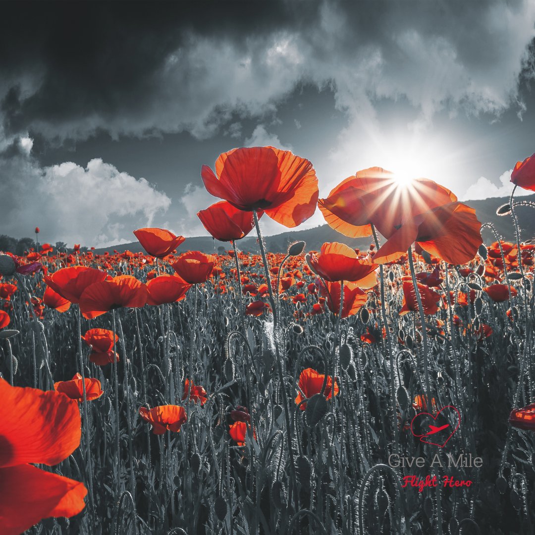 giveamile's tweet image. Today is the day we remember. 
We hold space and we stop what we&apos;re doing to honour those who fought for our freedom, for the generations of our families. We cherish their strength and the bravery they showed in standing up for us then, so we can live life as we do now.