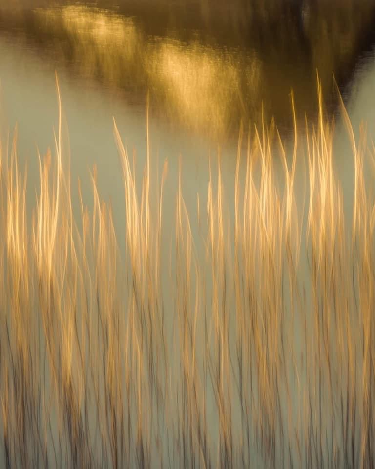 mark littlejohn tweet media