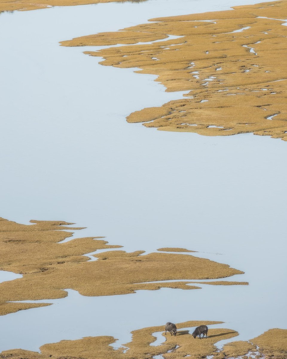 mark littlejohn tweet media