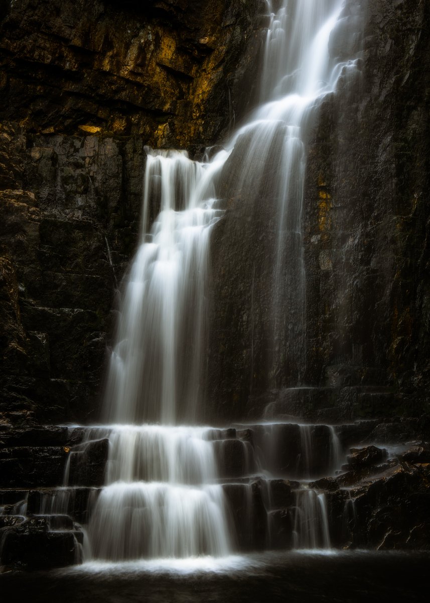 mark littlejohn tweet media