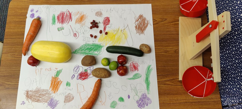 Pk4Mrs's tweet photo. Weighing our fruits and vegetables  and drawing the ones that weighed more. Thanks for the food provided by @BrighterBites . @DobiePKSchool #PowerOfLove #dobieshines #eatinghealthy #risdprek https://t.co/dcAxTsWpIE