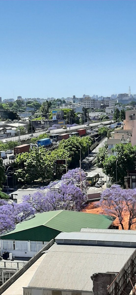 Mercedes Rodriguez tweet media