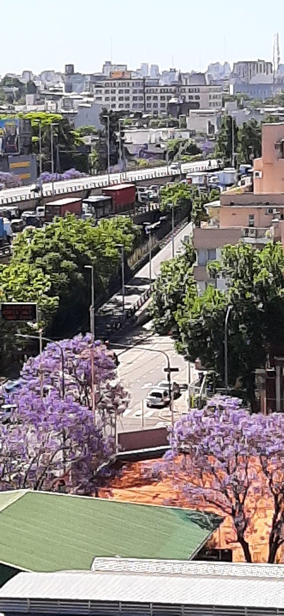 Mercedes Rodriguez tweet media