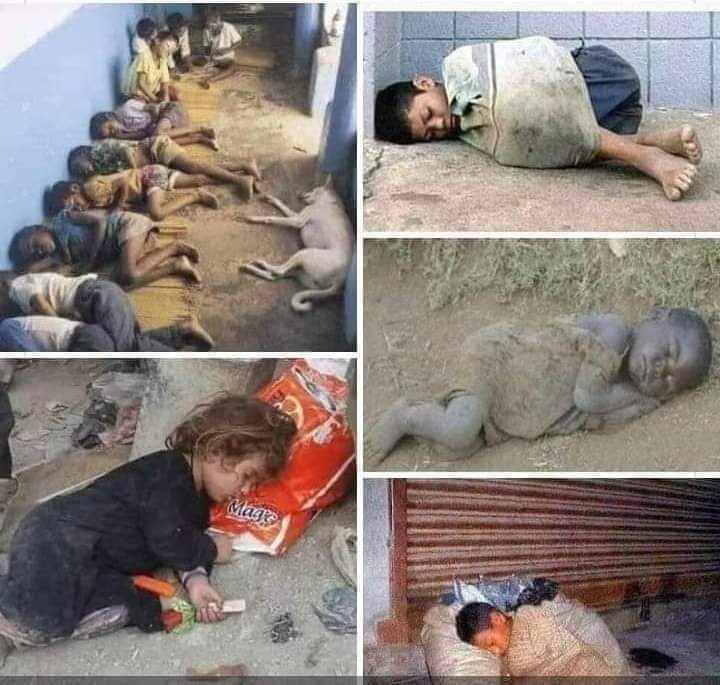 muzeriqui's tweet photo. El fracaso más absoluto como seres humanos... https://t.co/EIBLufxBQe