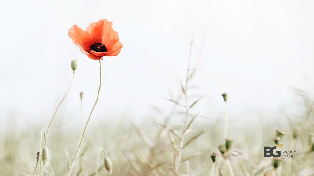 Lest we forget ... 

#remembranceday #lestweforget