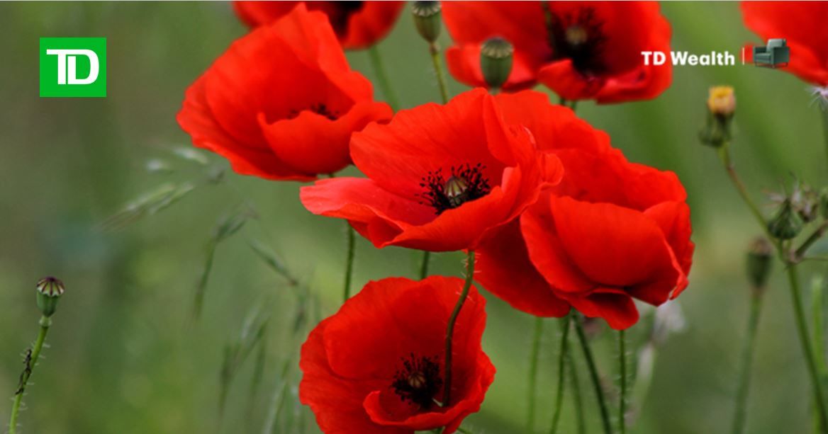 JReaume_TD's tweet photo. This Remembrance Day, we honour and extend our gratitude to the people who have served and continue to serve our country. Thank you for your service and your sacrifice. https://t.co/1MgvkY1Dgw