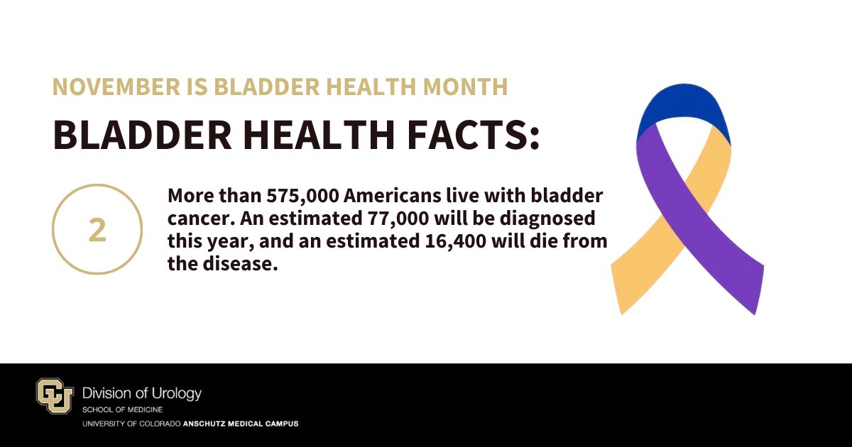 CU_Urology's tweet photo. November is #BladderHealthMonth!
Get our comprehensive Bladder Cancer Guide: https://t.co/sn0E9DbMuQ
#NovBHealth #BladderHealth @CUCancerCenter #BladderCancer #urology https://t.co/ULGqnZLKa3