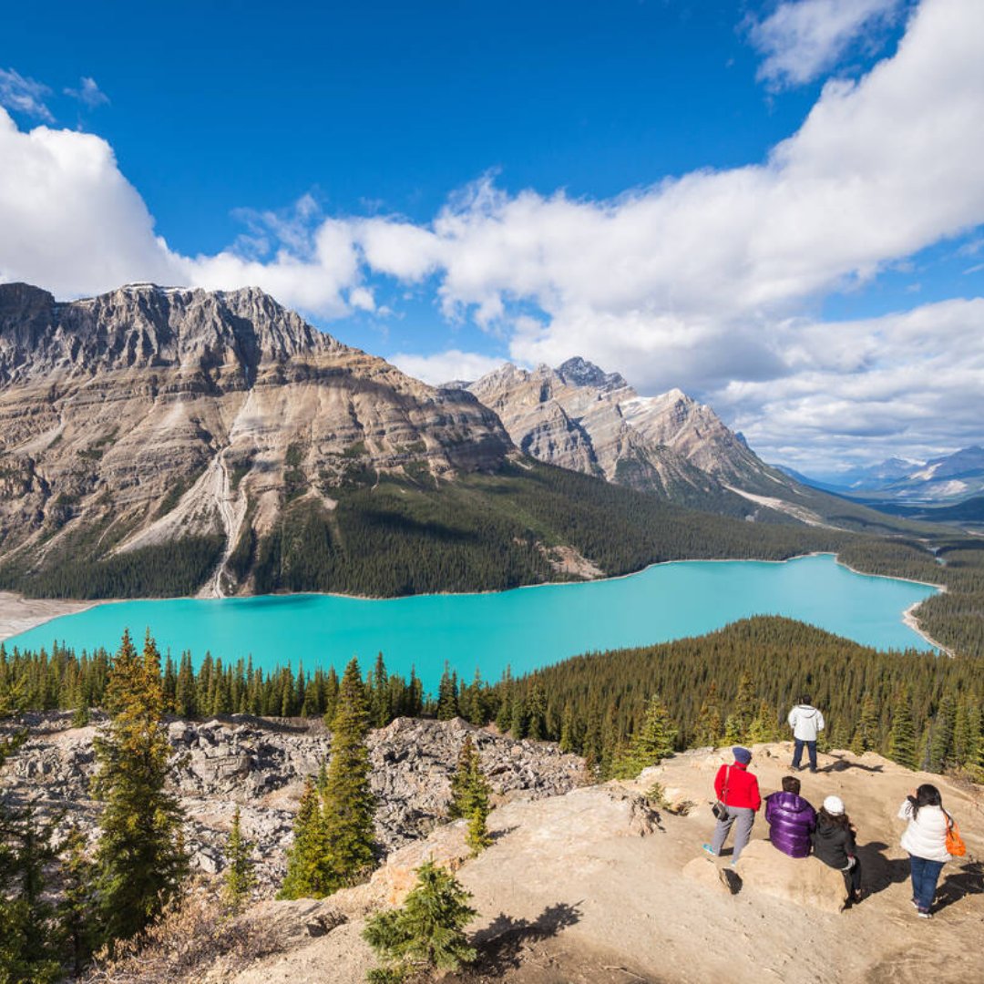 NowBoarding_'s tweet photo. Dit schilderachtig natuur- en wildernisgebied is het Banff National Park in Canada.🇨🇦 Het nationaal park staat bekend om zijn schoonheid, planten- en dierendiversiteit en voortdurende geologische processen.🏞 Het behoort tot UNESCO werelderfgoed!
#NowBoarding #Canada #natuur https://t.co/10vKpkxJNt