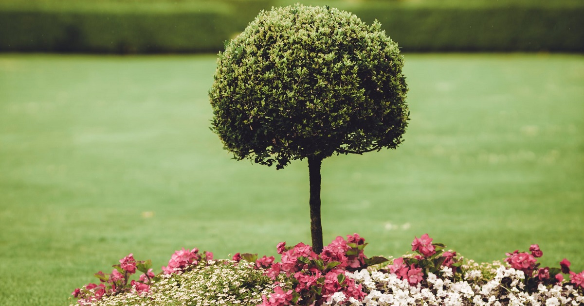 Fall is here, so take time to read TRC's blog post on repurposing yard waste to reduce your carbon footprint: bit.ly/3wGpOq2