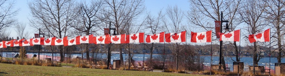 hapandcarol's tweet photo. #HAPPINESS is seeing the Flags of Remembrance at Sylvan Lake honouring the veterans on Remembrance Day. #RemembranceDay #FlagsofRemembrance #veterans https://t.co/h2dX6Xasim
