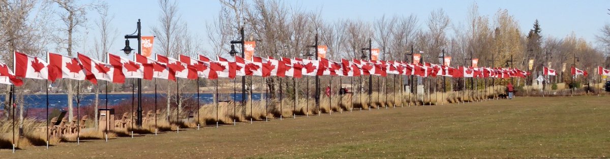 hapandcarol's tweet photo. #HAPPINESS is seeing the Flags of Remembrance at Sylvan Lake honouring the veterans on Remembrance Day. #RemembranceDay #FlagsofRemembrance #veterans https://t.co/h2dX6Xasim