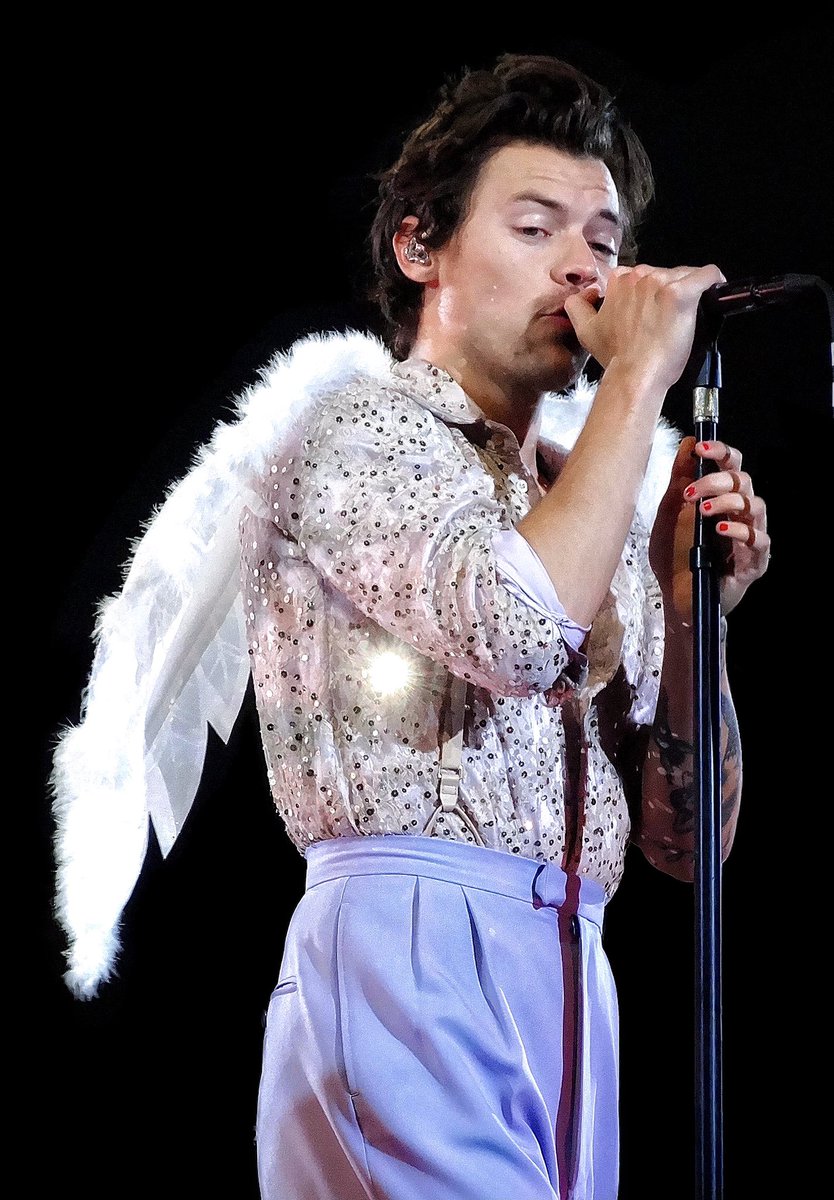 theharrylibrary's tweet photo. https://t.co/ax9tsmqAYf