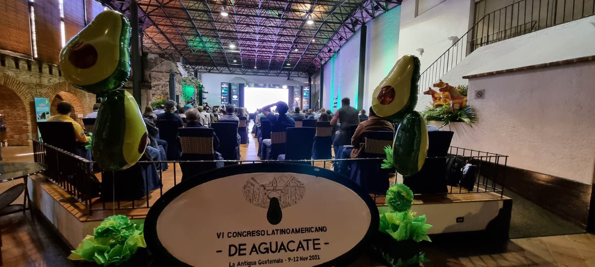 Hoy continuamos con el VI CONGRESO LATINOAMERICANO DE AGUACATE 🥑!!!
<a href="/AGEXPORTGT/">AGEXPORT</a> 
#CongresoAguacateLA 
#Guatemala #ExportacionesGT