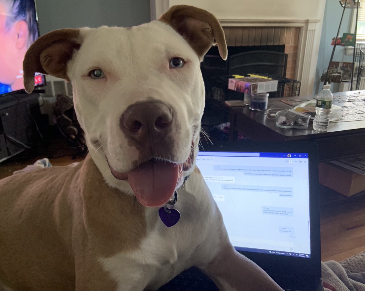 Stephanie O'Connell tweet media