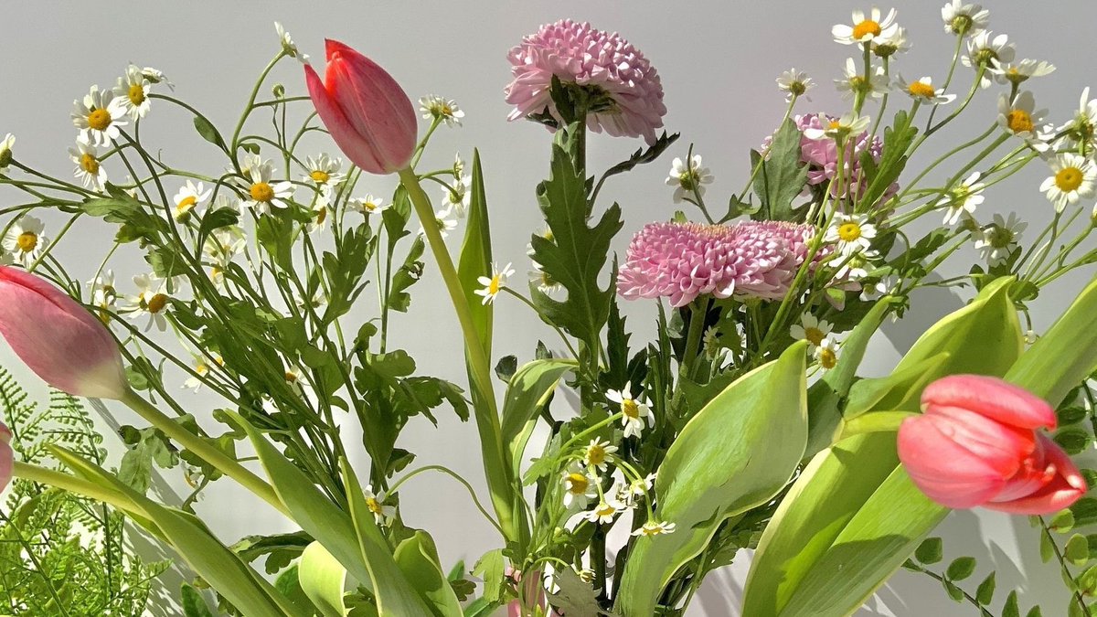 DI0RSBABY's tweet photo. fresh flowers<3 https://t.co/tPRkdtZ94X