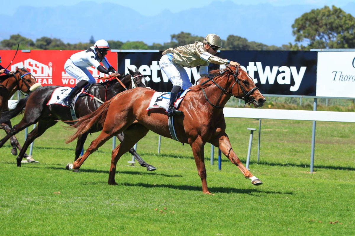 jo_campher's tweet photo. #TBT, #NippyWinter, daughter of #WhatAWinter broke her maiden. 10 runs for 8 places &amp; a win. Lovely to have @JohnTFreeman there for my first winner.  Thanks to @bassracingstble for putting together the #CentenarySyndicate. 💛@MaineChanceFarm @Kuda_Insurance https://t.co/FEAG8ABFFu