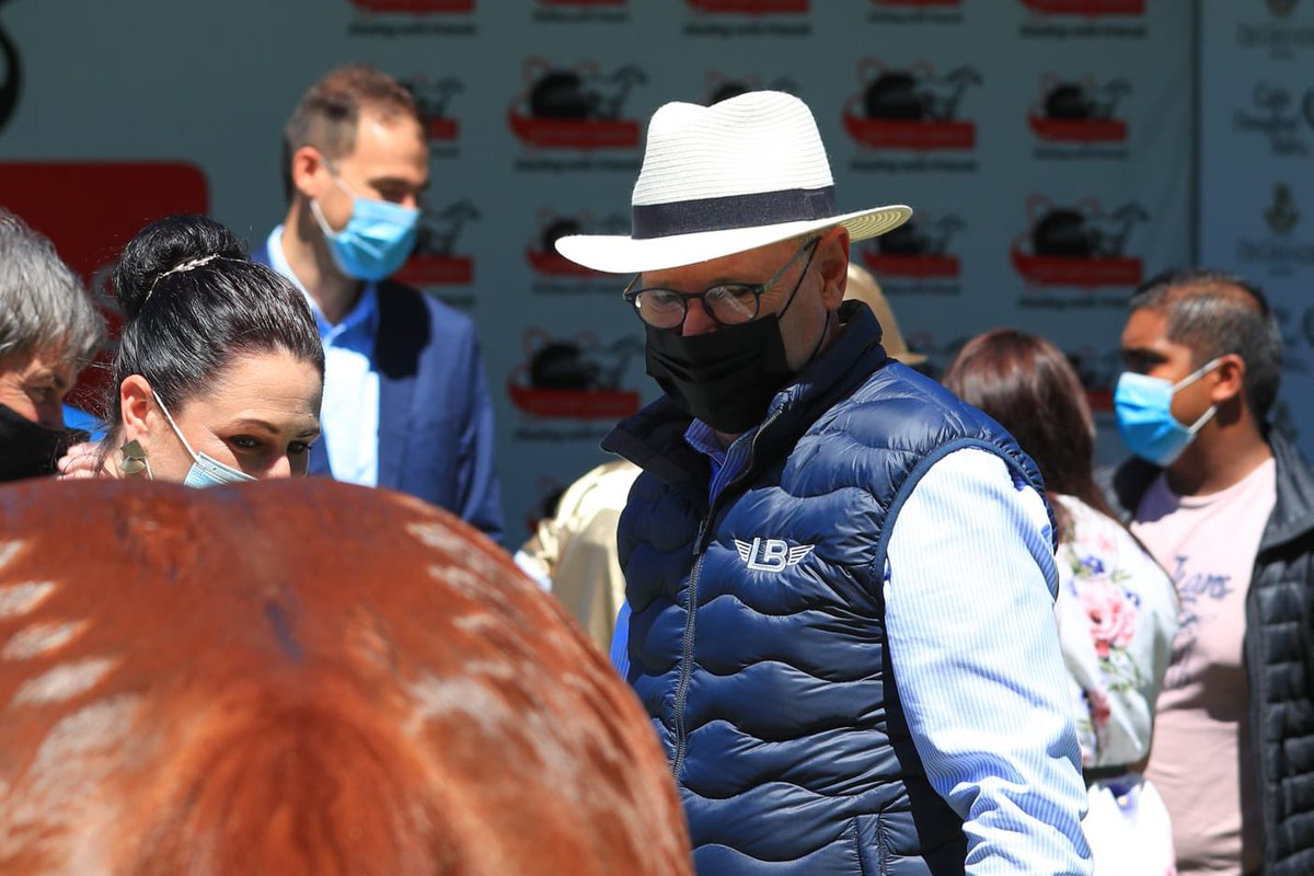 jo_campher's tweet photo. #TBT, #NippyWinter, daughter of #WhatAWinter broke her maiden. 10 runs for 8 places &amp; a win. Lovely to have @JohnTFreeman there for my first winner.  Thanks to @bassracingstble for putting together the #CentenarySyndicate. 💛@MaineChanceFarm @Kuda_Insurance https://t.co/FEAG8ABFFu