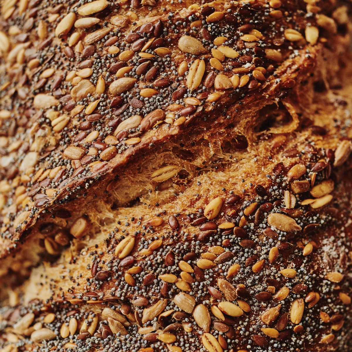 Taste, texture and time: three elements that take our breads to the next level. Our Spelt loaves are made with whole grains and seeds to not only make for a tastier bread, but a healthier one, too.