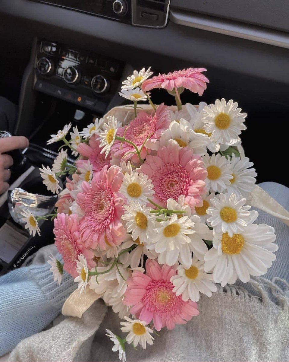 CutieBootyLily's tweet photo. It’s the little things 🥰 https://t.co/oB7TlPqs5v