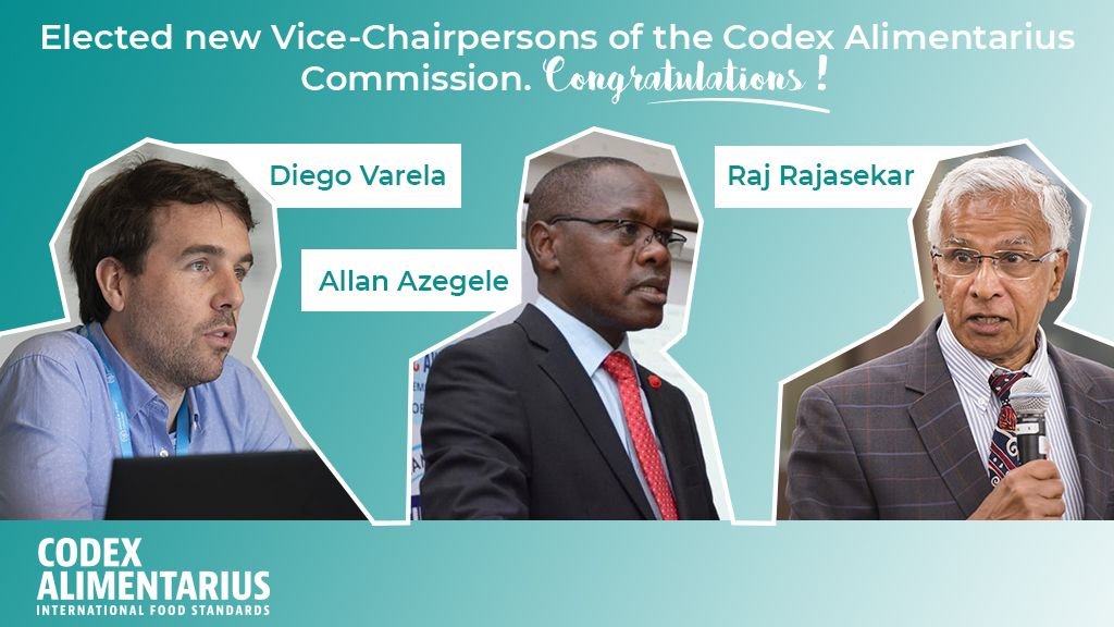 FAOWHOCodex's tweet photo. +++ BREAKING +++

@VarelaMaino 🇨🇱 Allan Azegele 🇰🇪 Raj Rajasekar 🇳🇿  elected new Vice-chairpersons of the Codex Alimentarius Commission❗️

Congratulations 👏👏👏

#CodexCAC44 | #CodexFamily https://t.co/gVUUXUiI31
