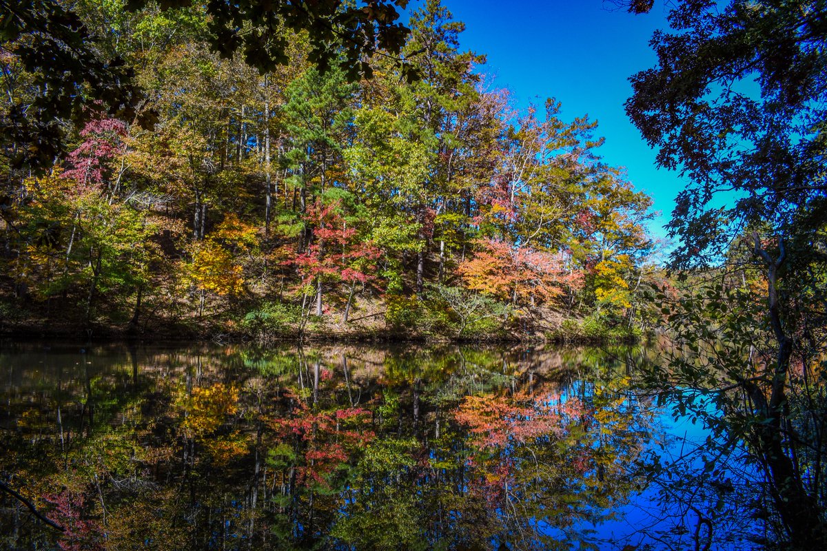 AdventurersLfM's tweet photo. Fall is my favorite 🍁 https://t.co/MGGJKRbAKJ