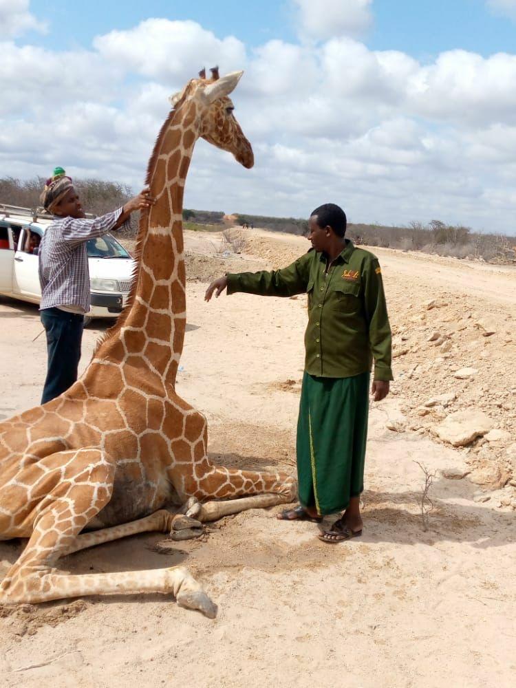 millyconcerts's tweet photo. @Sesyline_KE Global warming has very serious implications if we do not conserve the environment
#SomeoneTellCop26 https://t.co/WoXvnoLJVV
