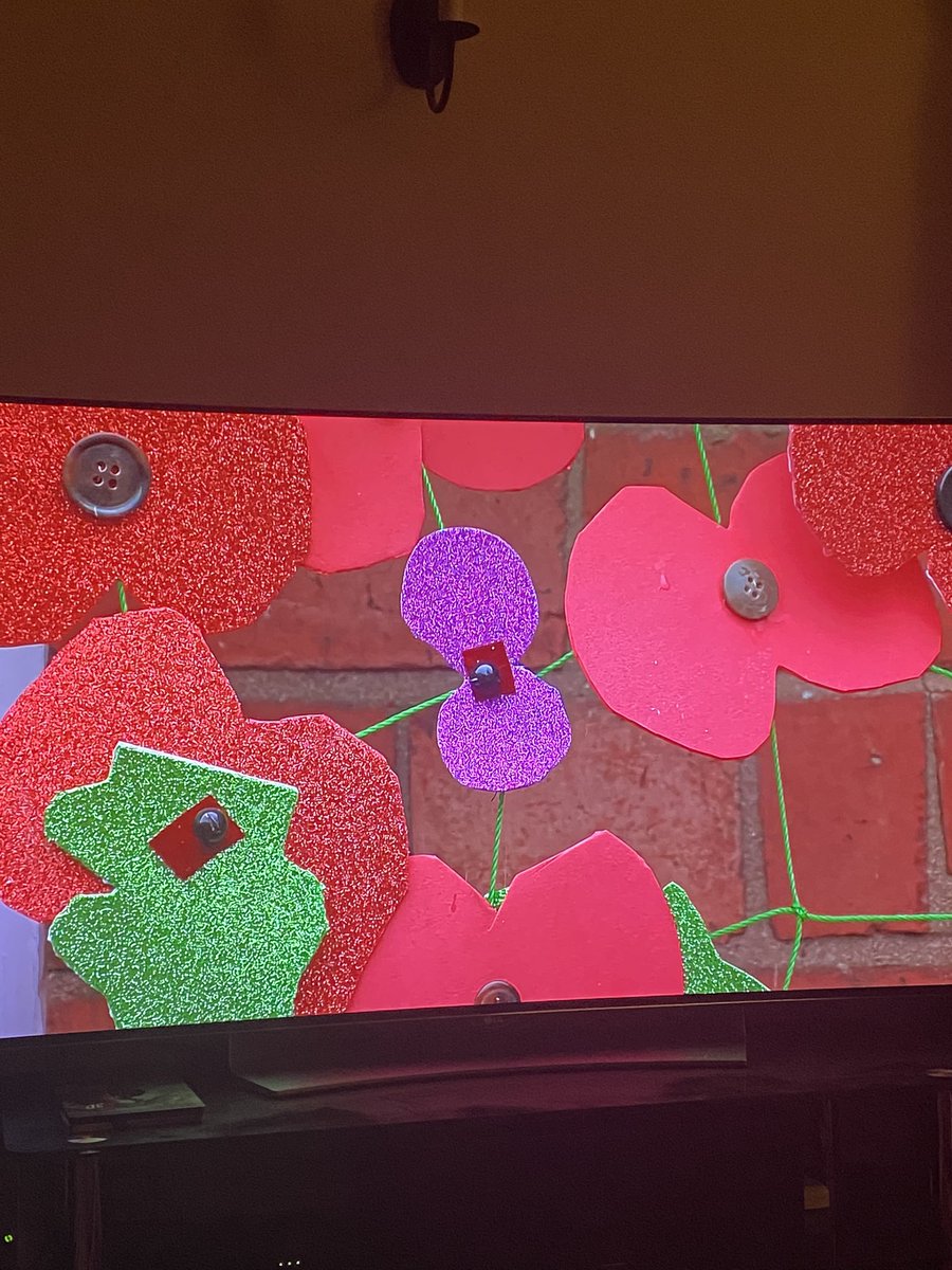 HerchyBoal's tweet photo. Really lovely to see the Poppy display in the peace garden created by @EarlsdonPrimary & recognising the sacrifice made by Animals by displaying the Purple Poppy @RSPCA_official @ITVCentral #RemembranceDay #GenerationKind ๐ถ๐ฆ๐ด๐๐พ https://t.co/pplr3oXS6M