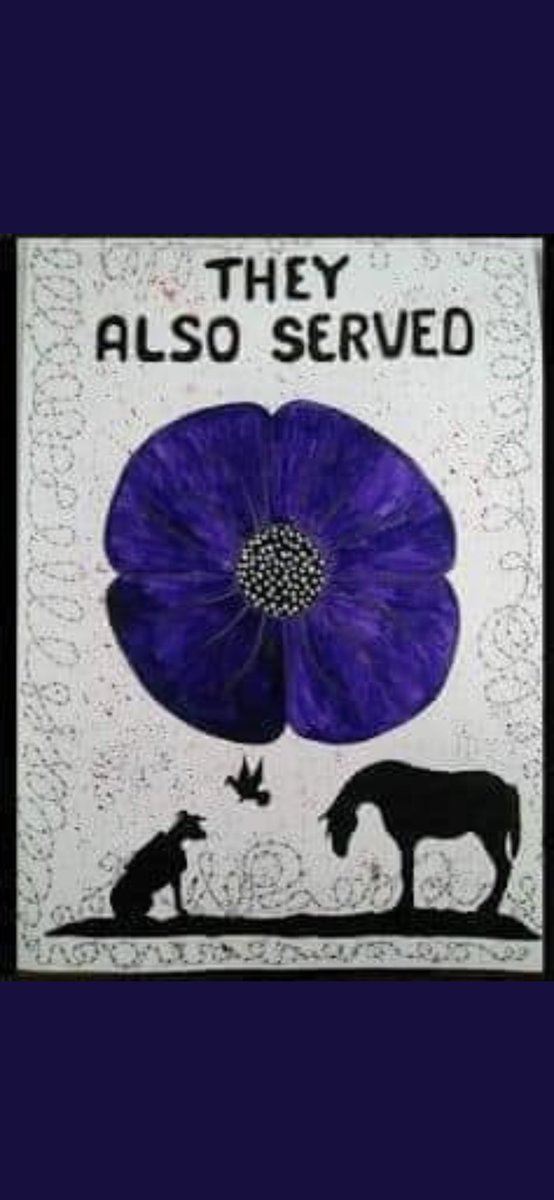 HerchyBoal's tweet photo. Really lovely to see the Poppy display in the peace garden created by @EarlsdonPrimary & recognising the sacrifice made by Animals by displaying the Purple Poppy @RSPCA_official @ITVCentral #RemembranceDay #GenerationKind ๐ถ๐ฆ๐ด๐๐พ https://t.co/pplr3oXS6M