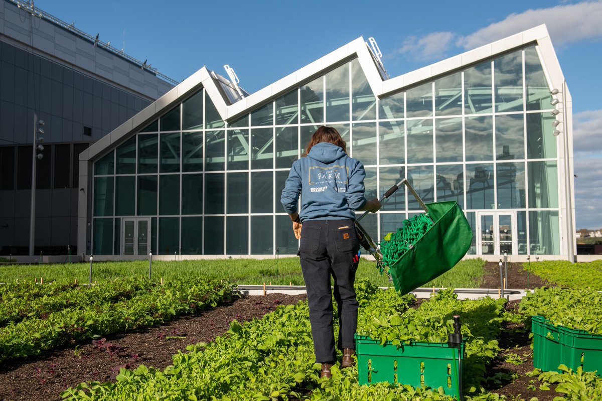 tonysclafani's tweet photo. Watching a one-acre farm grow on our rooftop has become a source of inspiration for our employees & business partners as we reconnect w/ clients, host new events & share impactful ideas that can move our economy forward. #farmlife https://t.co/6FvlYbrCB6