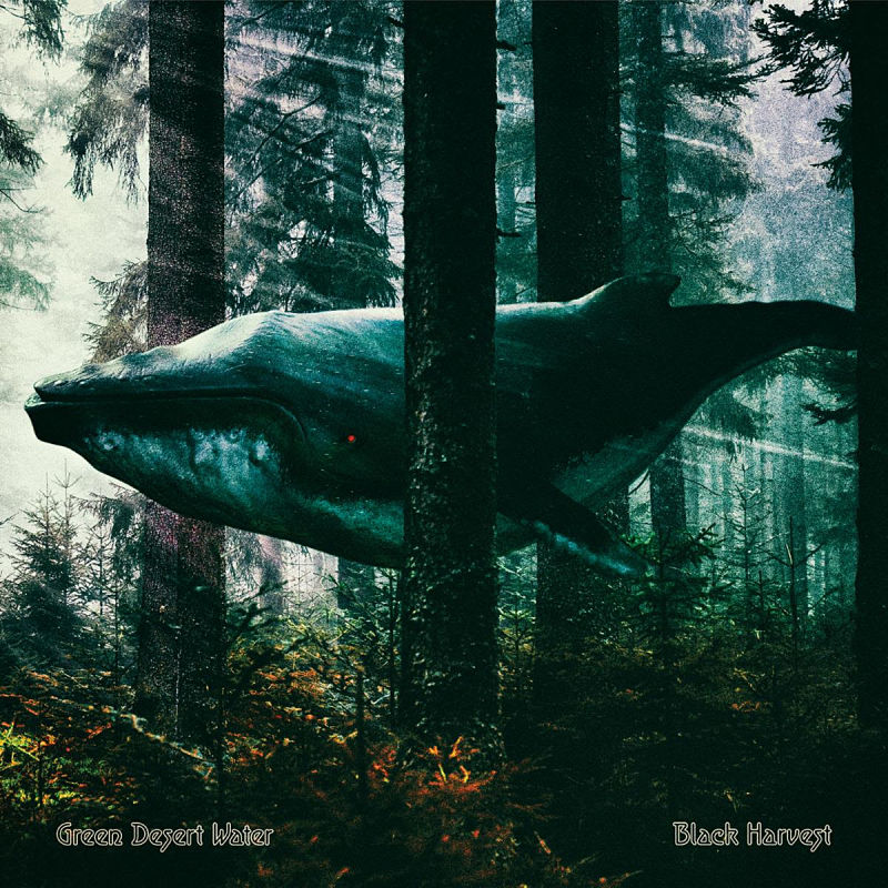 LaHabitacion235's tweet photo. Green Desert Water – “Black Harvest” (2021)
#discodelasemana, #albomoftheweek, #reseñas, #reviews, #heavyrock, #blues, #GreenDesertWater, #SmallStoneRecords
https://t.co/tmc405BLxs https://t.co/AbmHduKayK
