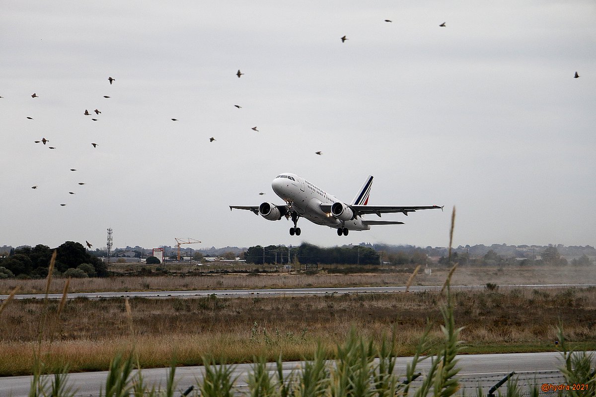 hydra_66's tweet photo. #FelloFly #A318 #Airbus 🛫🐦🐦🐦🐦 https://t.co/qTCZf2aXEy