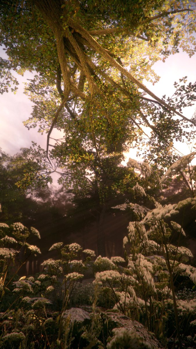 StefanieMcMaken's tweet photo. Innocence 🌼
#APlagueTaleInnocence #FocusVP #VGPUnite #VPEclipse #VirtualPhotography #Gametography https://t.co/tAqPVCbt0b