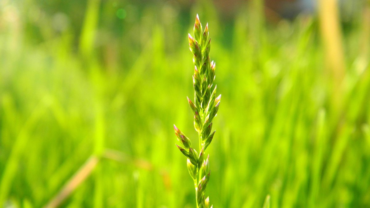 Linker55 tweet media