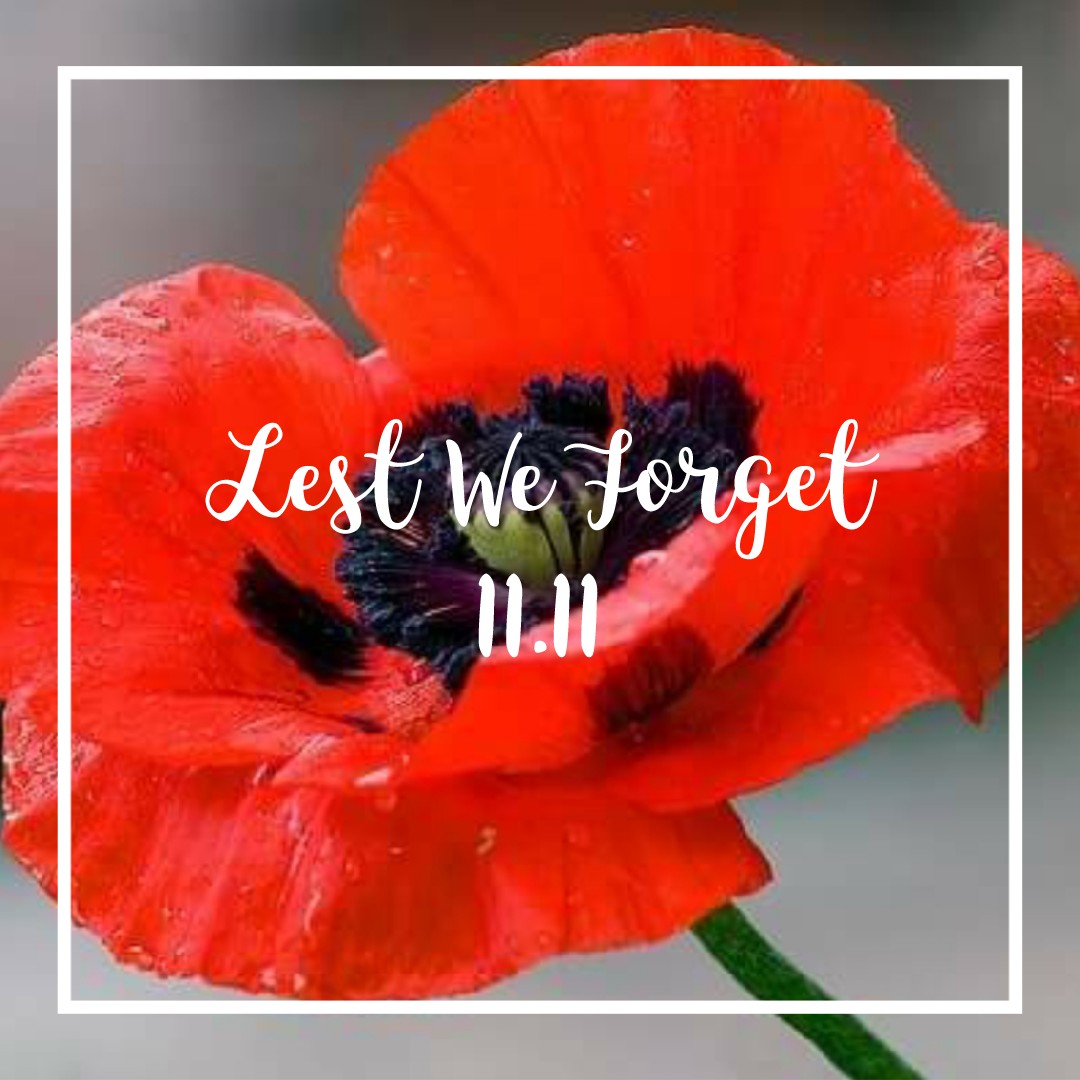 Taking time to honour all those who have served our country. 🇨🇦
#RemembranceDay2021