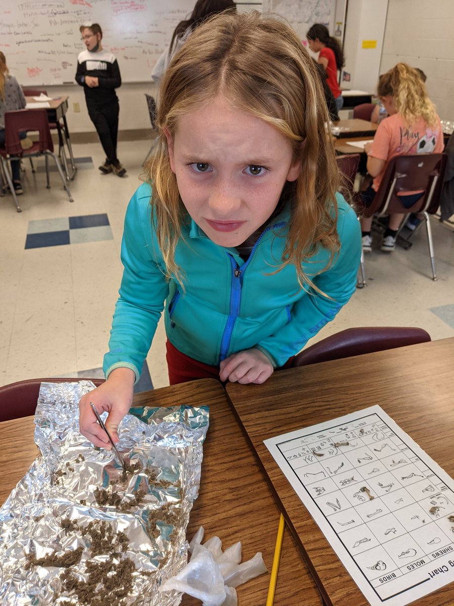 watsnuwithu's tweet photo. Dissecting owl pellets in Science, today. Her expression is priceless!
@MurraySchools https://t.co/GTqTb27lYe