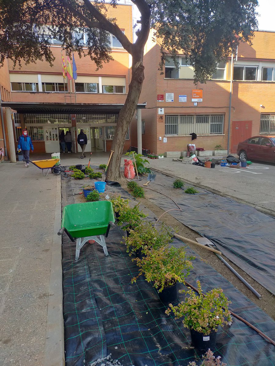 2ª jornada de trabajo en la colaboración del <a href="/CPIFP_Movera/">CPIFP Movera</a> con <a href="/cpilosenlaces/">CPIFP Los Enlaces</a> para ajardinar la entrada del CPIFP Los Enlaces. Han participado los alumnos de 1º del Ciclo Superior de Paisajismo y Medio Rural. El resultado es todo un espectáculo 🪴🌸🌼🍃 Muchas gracias <a href="/fp_aragon/">FP Aragón</a>