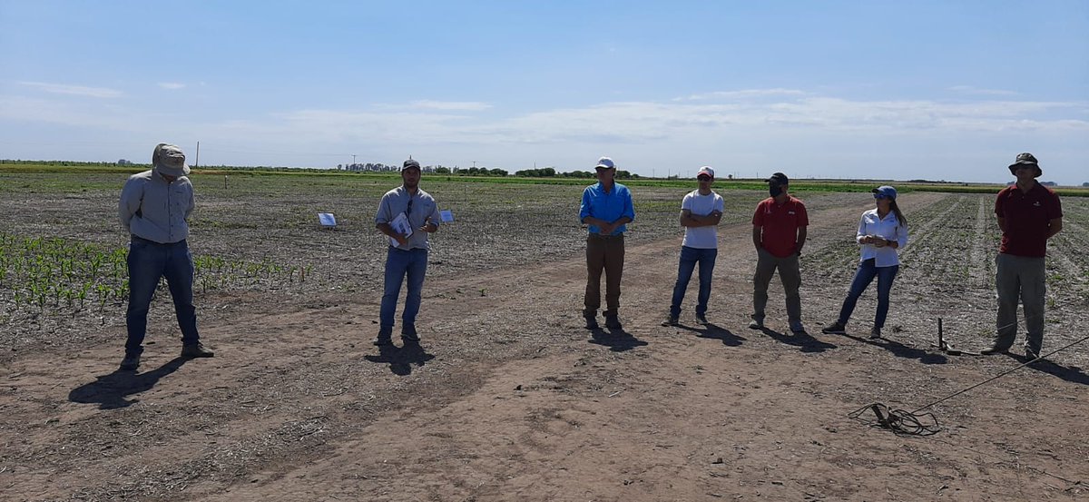 CortevaARG's tweet photo. 👉 Hoy estuvimos realizando una jornada junto con
@AgroconsultorSA.
🌱 Probando diferentes estrategias en el control de amaranthus en cultivo de soja. #SistemaEnlist®, #Remigate, #Pixxaro. https://t.co/MUIpnvINEl