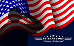 On this Veteran's Day, the SHS School Counseling office honors all those who have served in the United States Armed Forces in protecting and defending our country.  Thank you for your service!