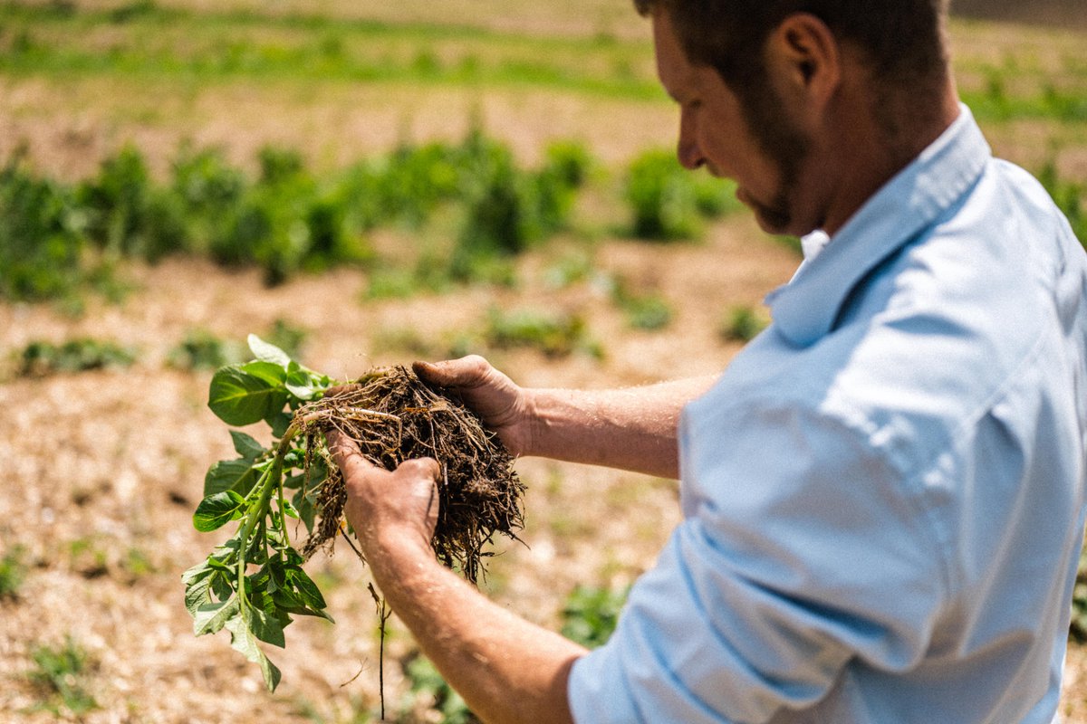 Tim_kingsclere's tweet photo. "If we are to limit global warming and keep the goal of 1.5C alive, then the world needs to use land sustainably and put protection and restoration of nature at the heart of all we do." Alok Sharma, COP26 President. https://t.co/lnKwUrmEyE