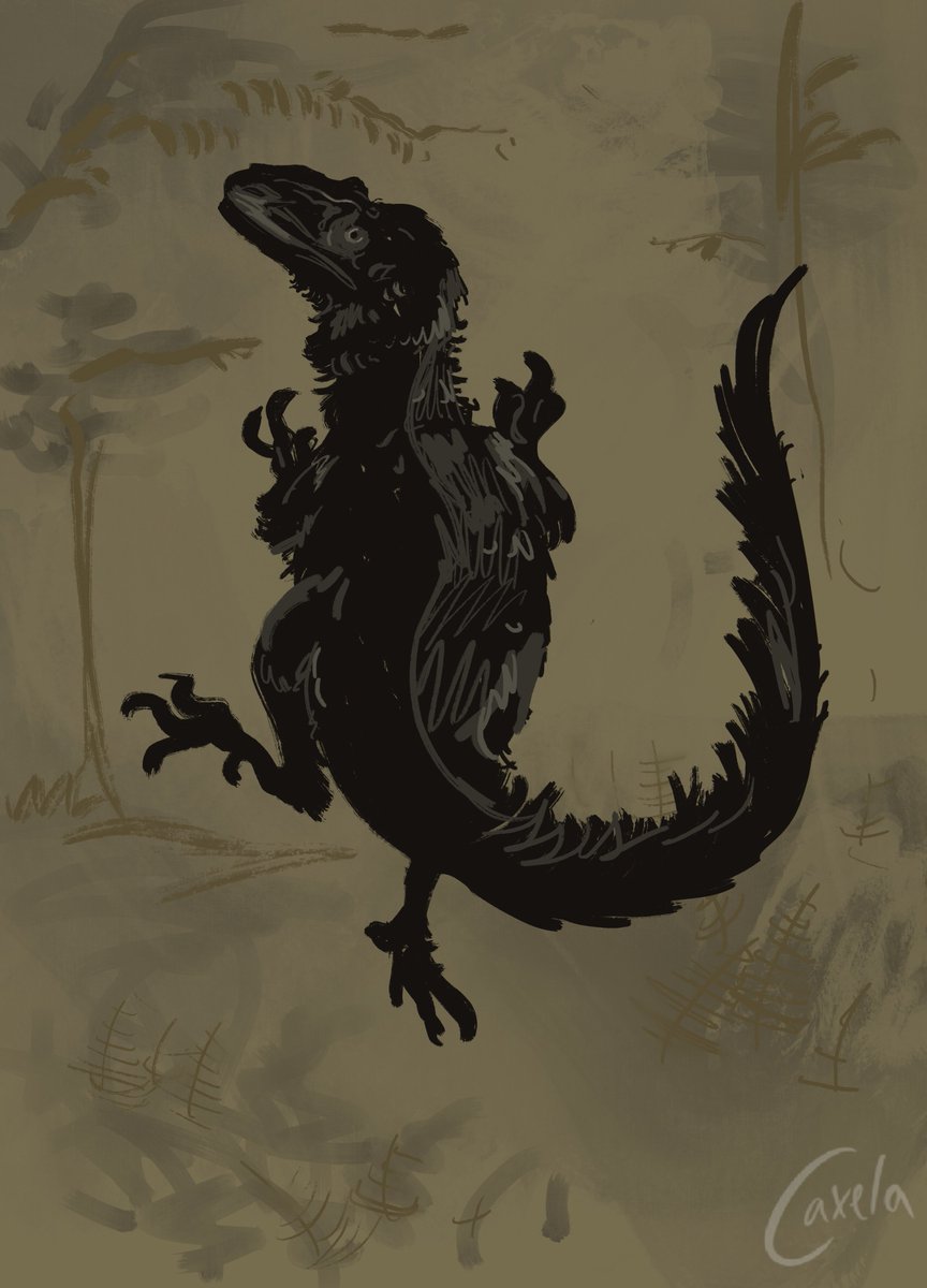 caxela1's tweet photo. A melanistic and very fluffy Allosaurus - based off of a critter that once appeared in a dream I had https://t.co/1vWLc0p20M