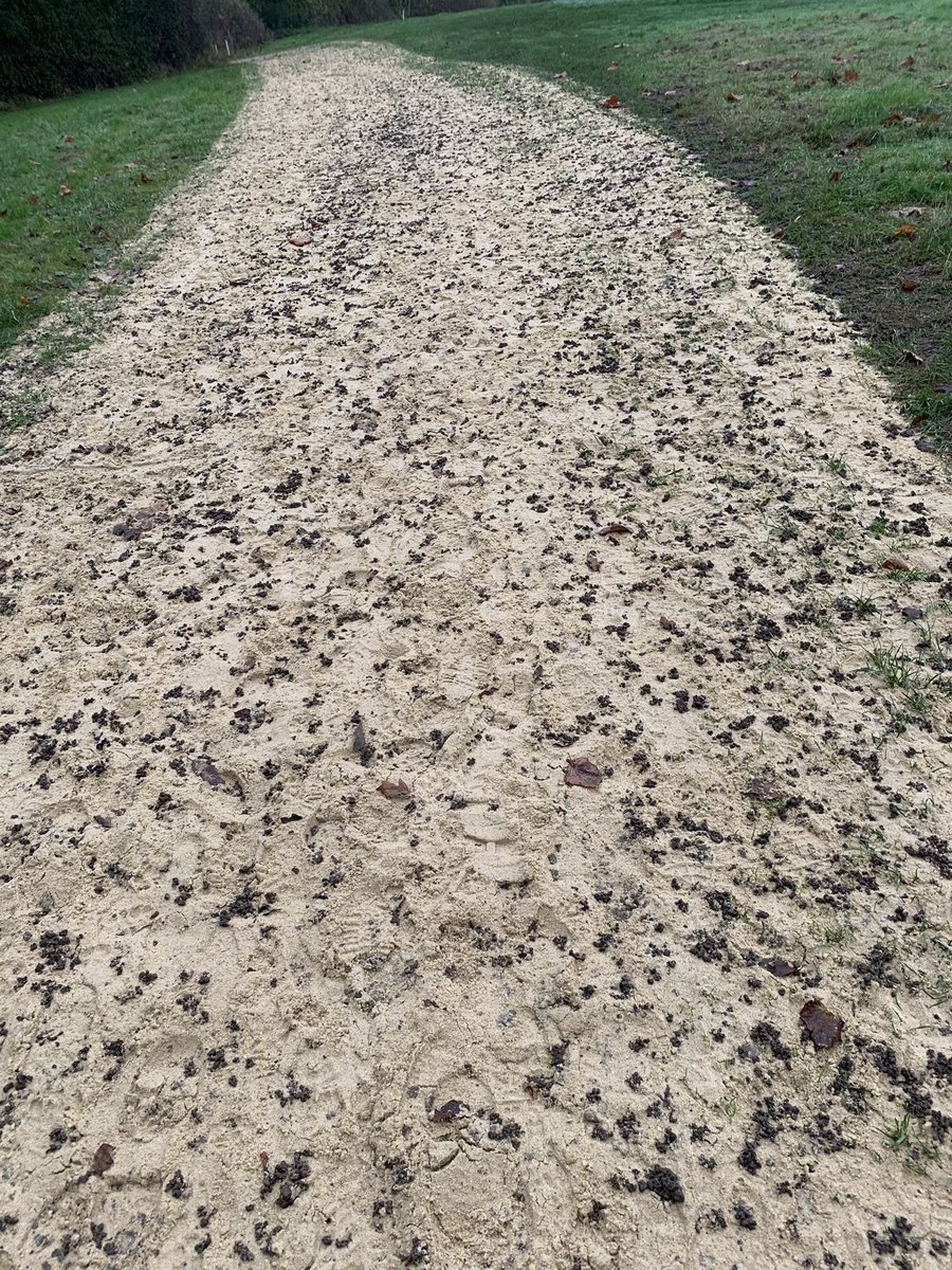 Mike Kemmett ⛳🏌🏻♂️🏏🏉 tweet media