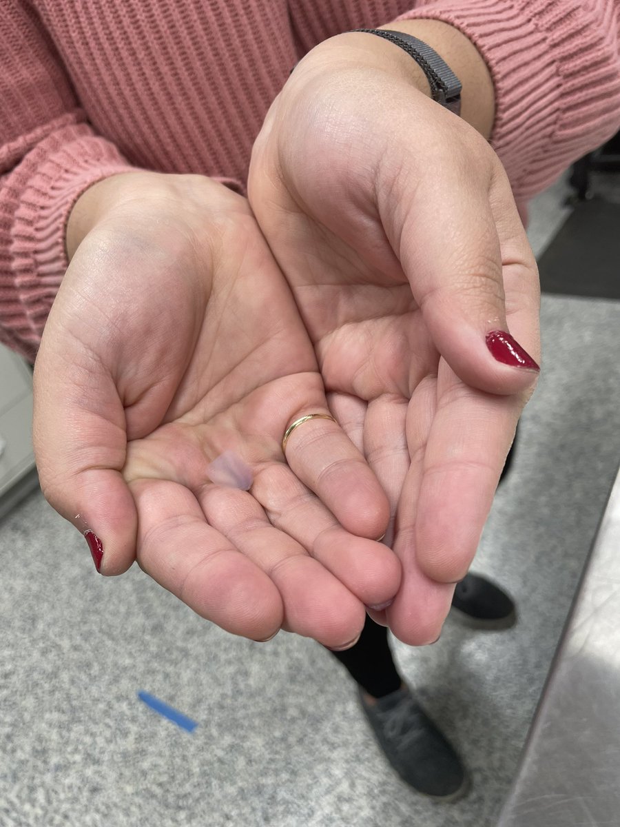 Mujan Seif tweet media