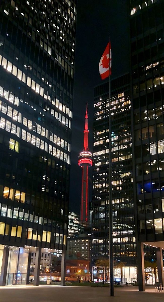 Remembrance night...

TD Centre, King St.

#HappyRemembranceDay