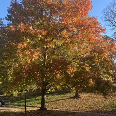 TracySaletta's tweet photo. #NewProfilePic https://t.co/3BO8selUcq