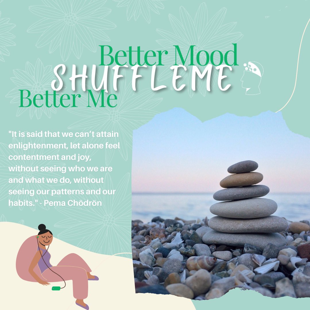 ShuffleMe tweet media