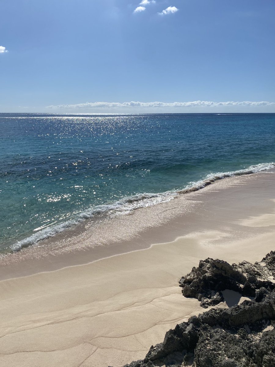 HelenLCummins's tweet photo. Instant relaxation #bermudabeaches #novembersunshine https://t.co/oE3Eozmtxi
