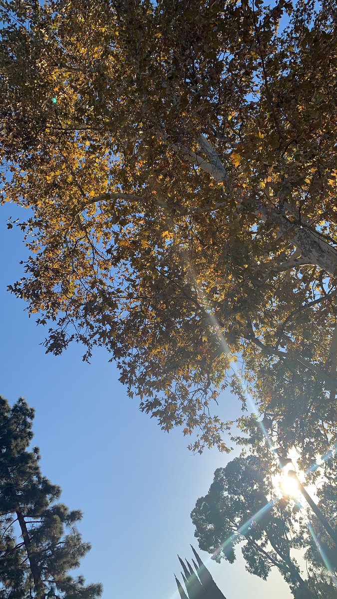 joanemarieg's tweet photo. Que bonito está el cielo… https://t.co/PjpU85RoOj